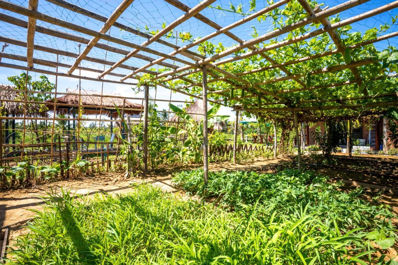 Zen Retreat Hoi An Ξενοδοχείο Εξωτερικό φωτογραφία